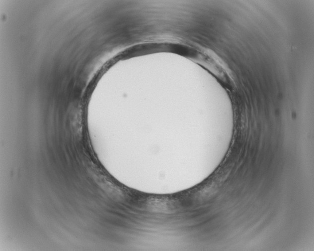 X0000087751364200706041051