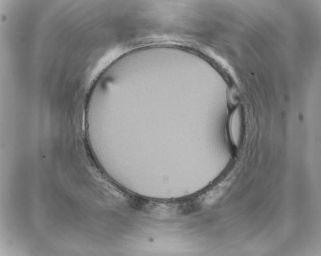 X0000087751365200706041051