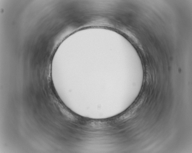 X0000087751366200706041051