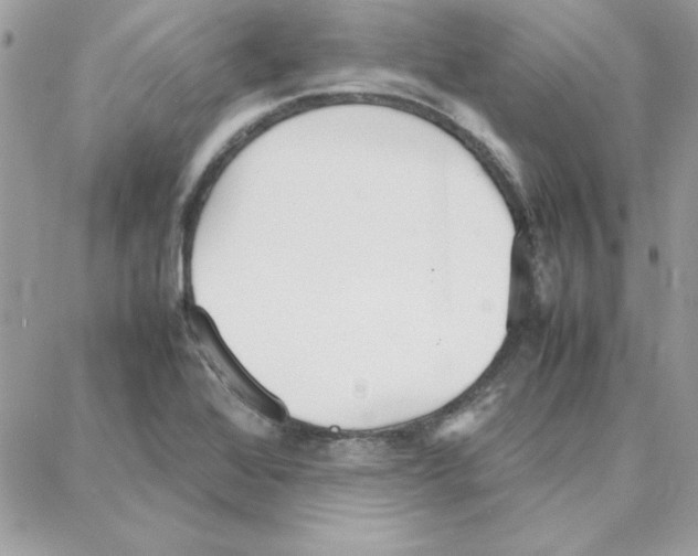 X0000087751368200706041051