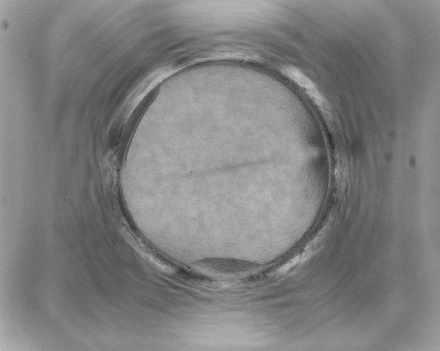 X0000087751369200706041051