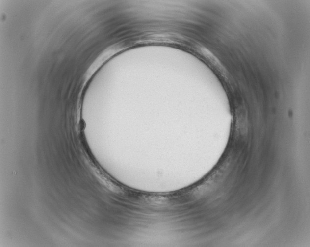 X0000087751370200706041051