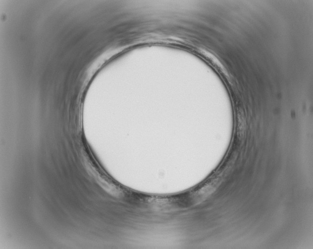 X0000087751371200706041051