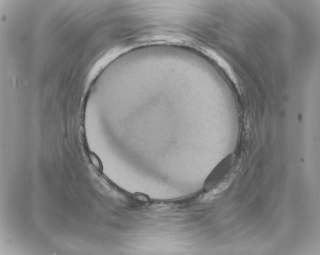 X0000087751373200706041051