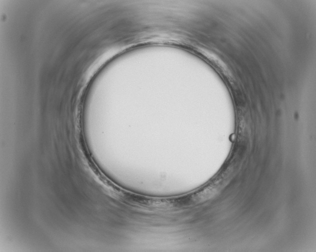 X0000087751375200706041051