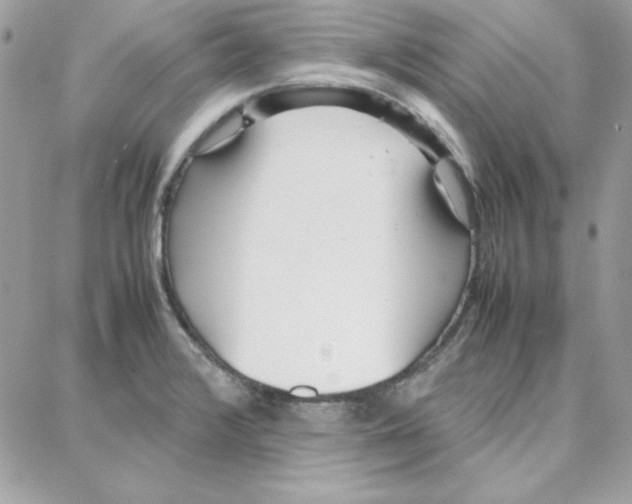 X0000087751376200706041051