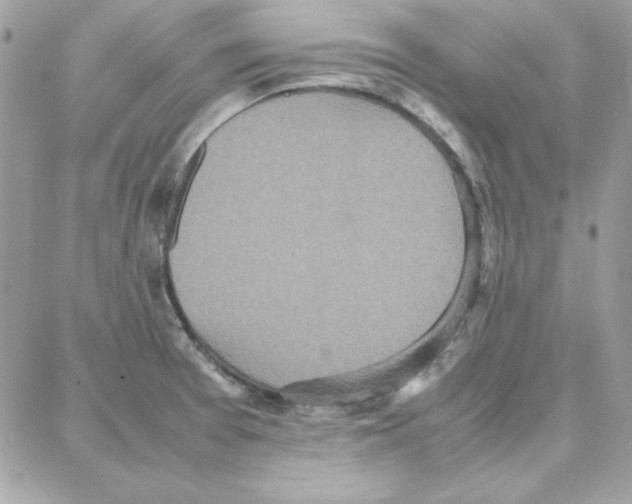 X0000087751377200706041051