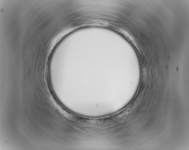 X0000087751379200706041051