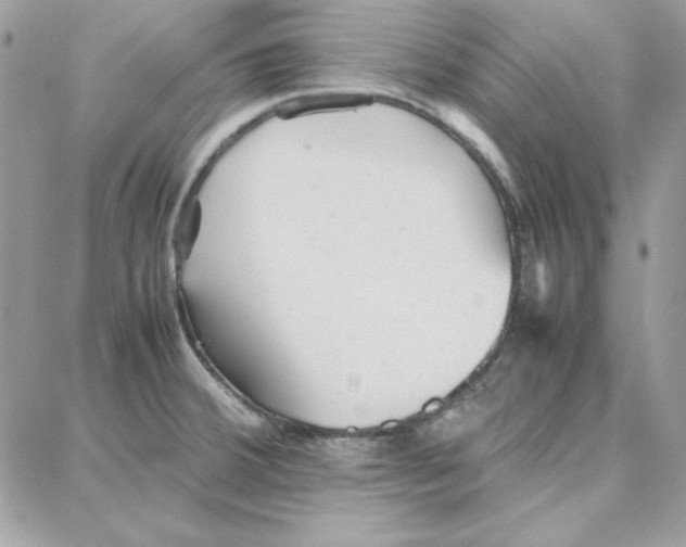 X0000087751380200706041051