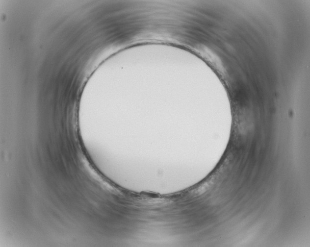 X0000087751382200706041051