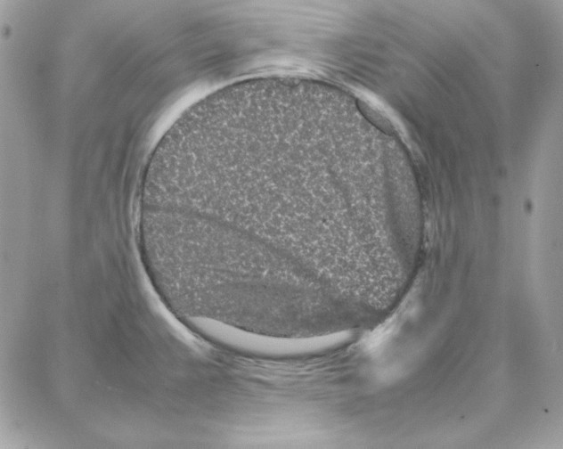 X0000087751383200706041051