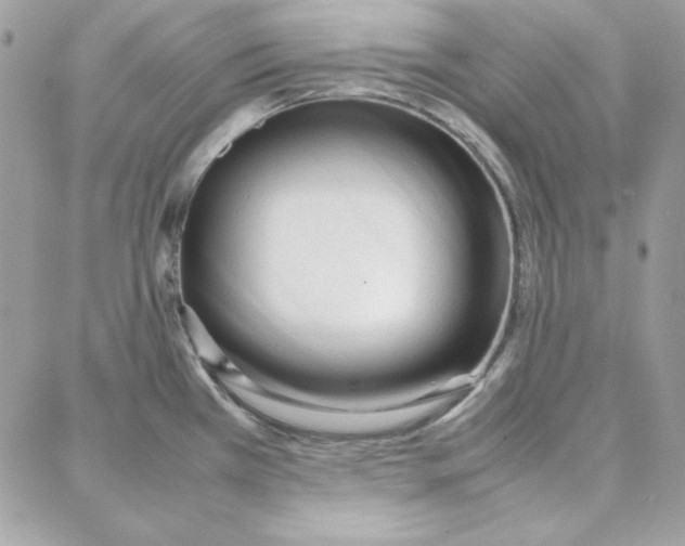 X0000087751385200706041051