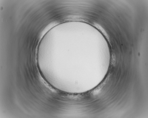 X0000087751386200706041051