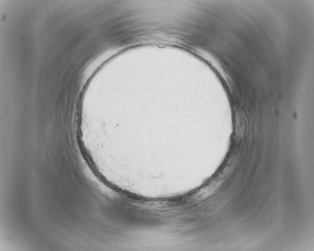 X0000087751387200706041051