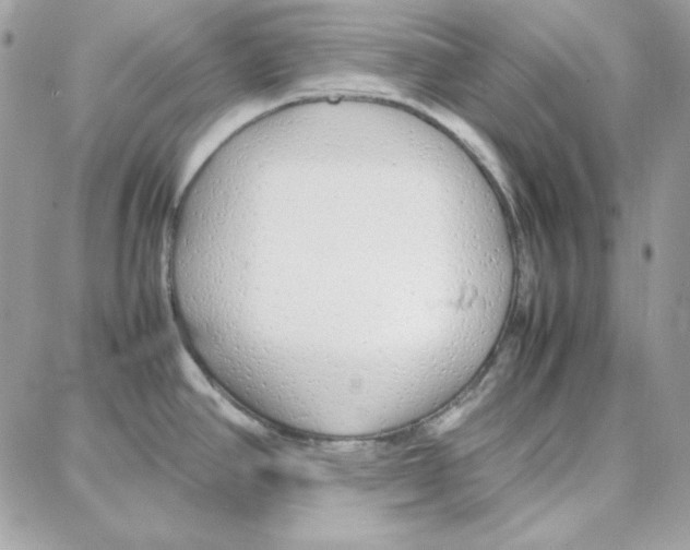 X0000087751390200706041051