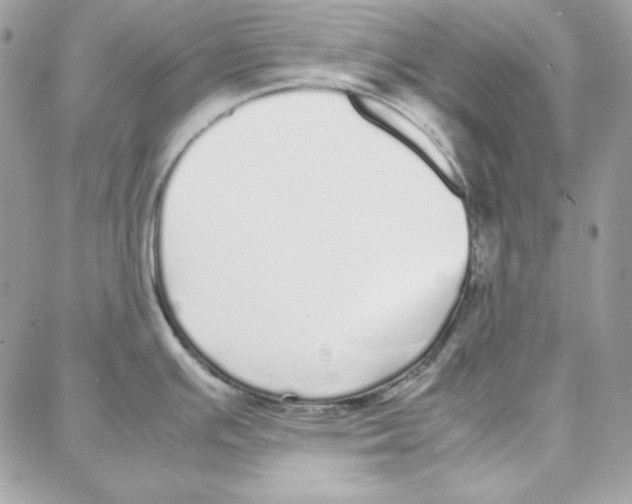 X0000087751391200706041051