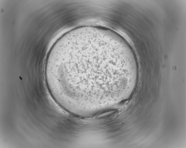 X0000087751392200706041051