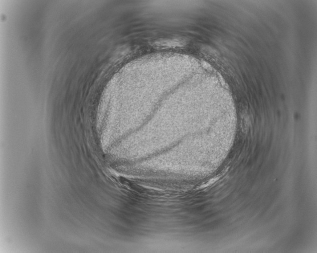 X0000087751393200706041050