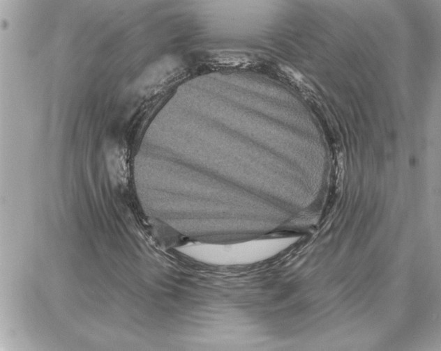 X0000087751394200706041050