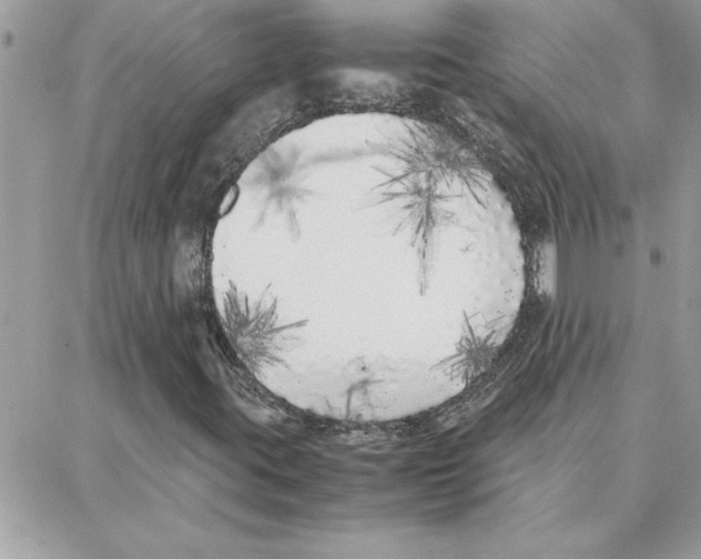 X0000087751395200706041050