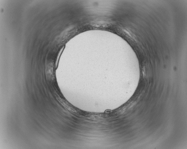 X0000087751396200706041050