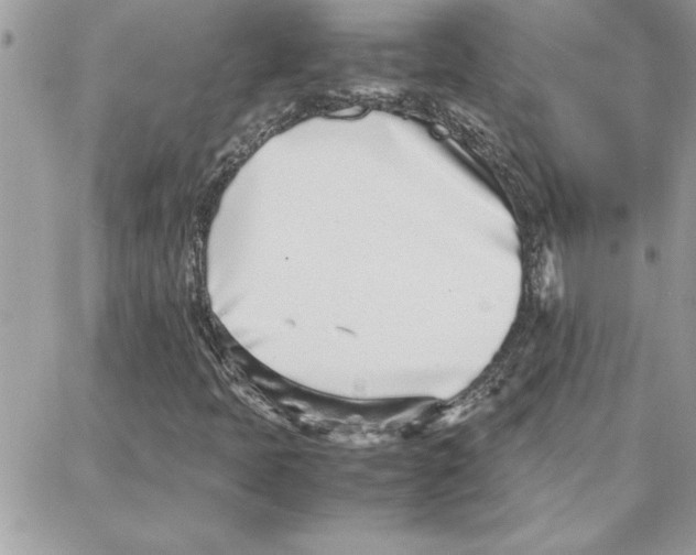 X0000087751397200706041050