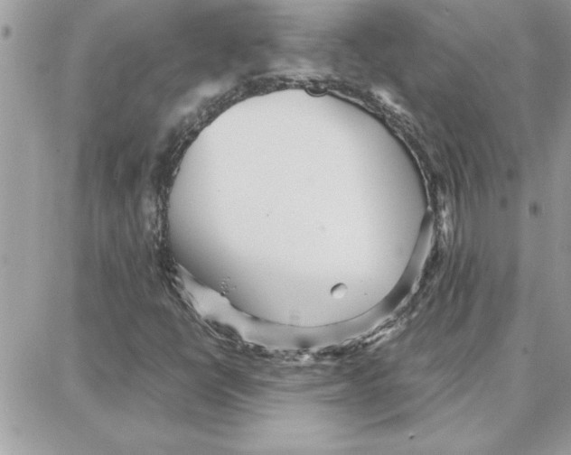 X0000087751398200706041050