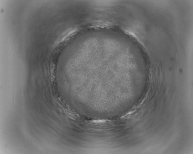 X0000087751399200706041050