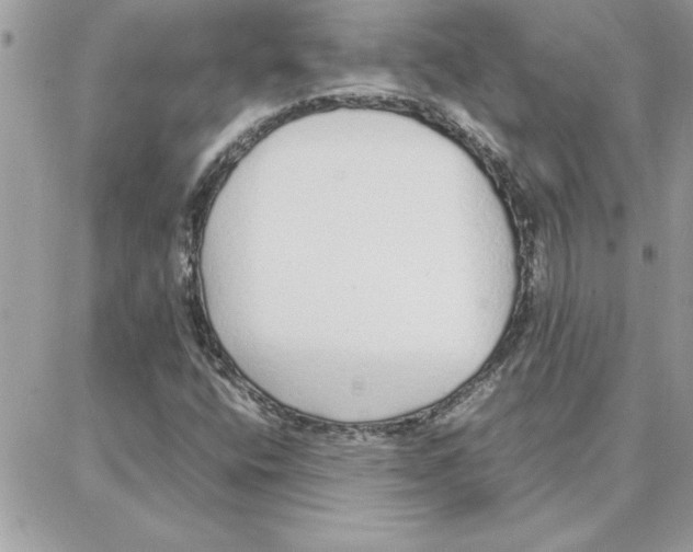 X0000087751400200706041050