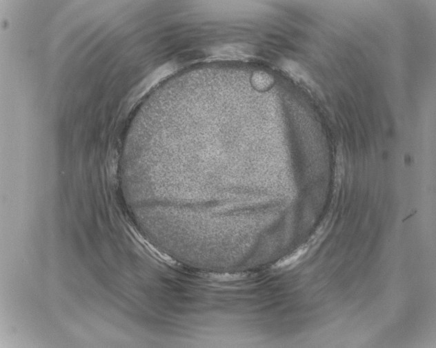 X0000087751401200706041050