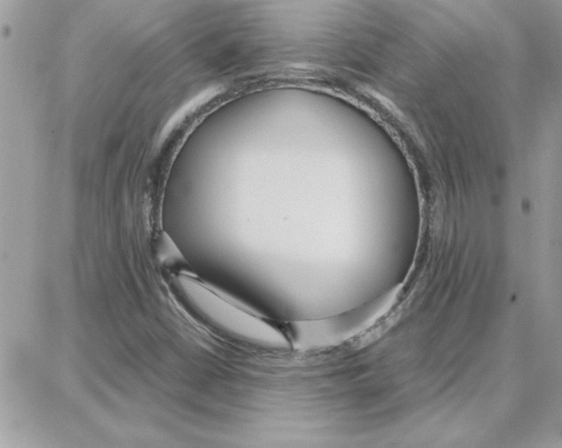 X0000087751402200706041050