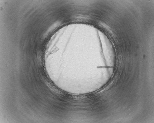 X0000087751403200706041050