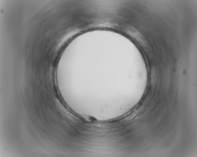 X0000087751404200706041050