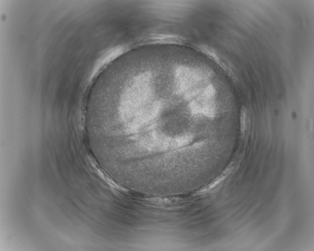 X0000087751405200706041050