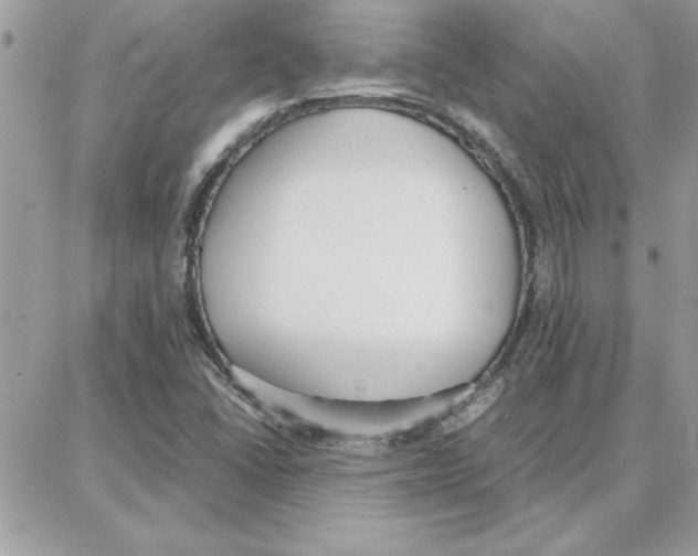 X0000087751406200706041050