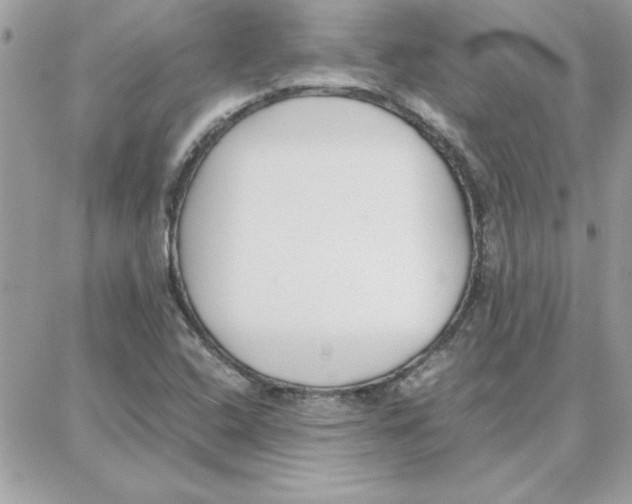 X0000087751408200706041050