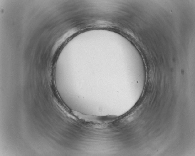 X0000087751410200706041050