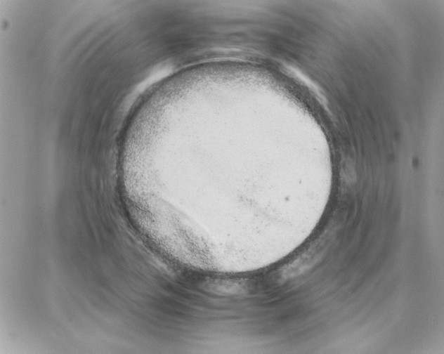 X0000087751411200706041050