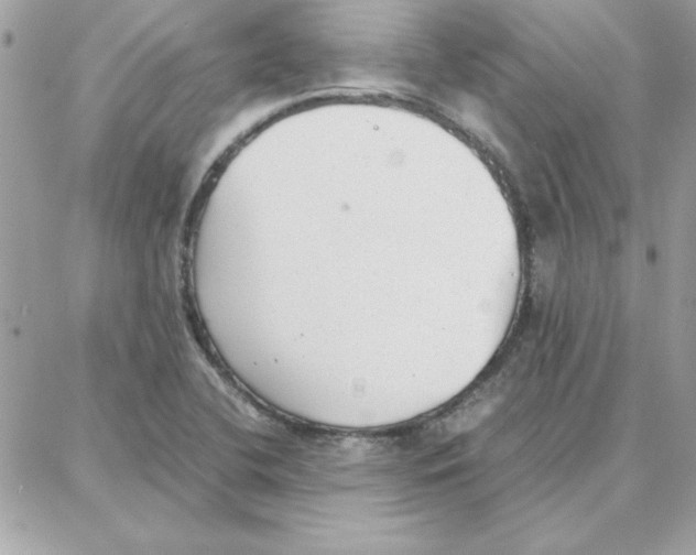 X0000087751412200706041050