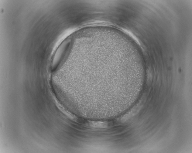 X0000087751413200706041050