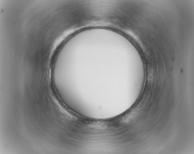 X0000087751414200706041050