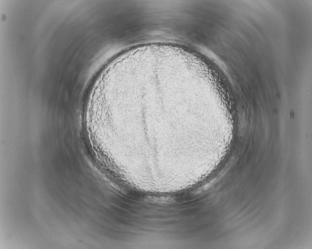 X0000087751415200706041050