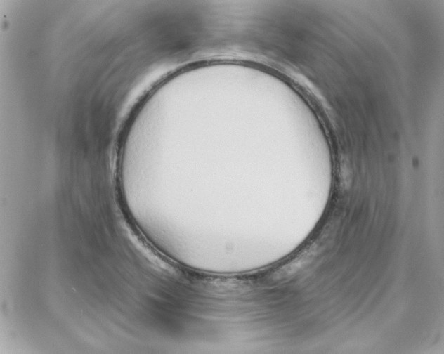 X0000087751416200706041050