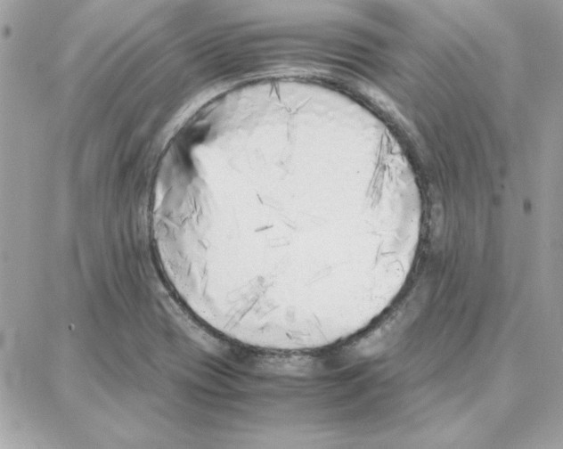 X0000087751417200706041050