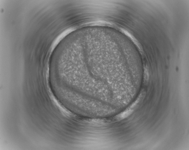 X0000087751418200706041050