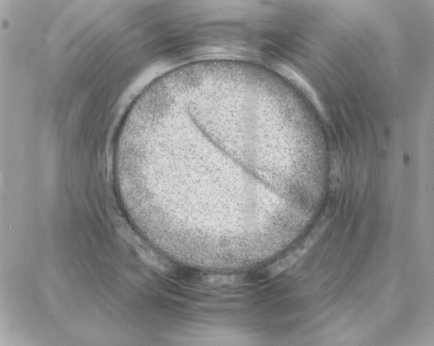 X0000087751419200706041050