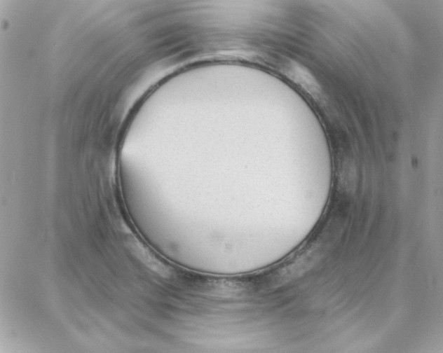 X0000087751420200706041050