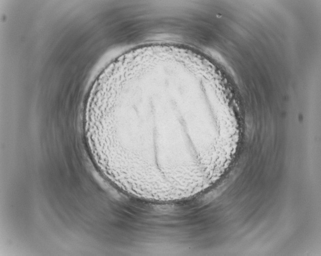 X0000087751421200706041050