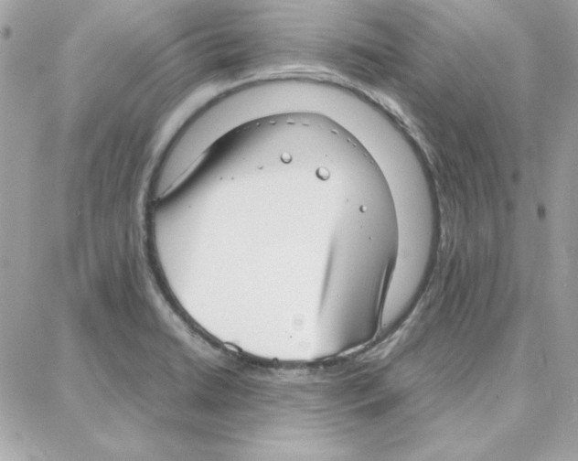 X0000087751422200706041050