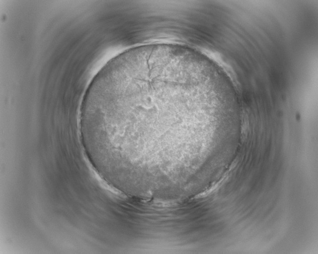 X0000087751423200706041050